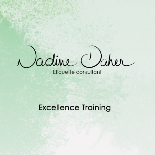 The Excellence Training Course